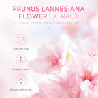 Hydrating Face Cream 5-Piece Skincare Set